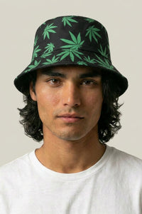 Bob cannabis