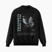 Pull Holographic ‘Trapped Butterfly’