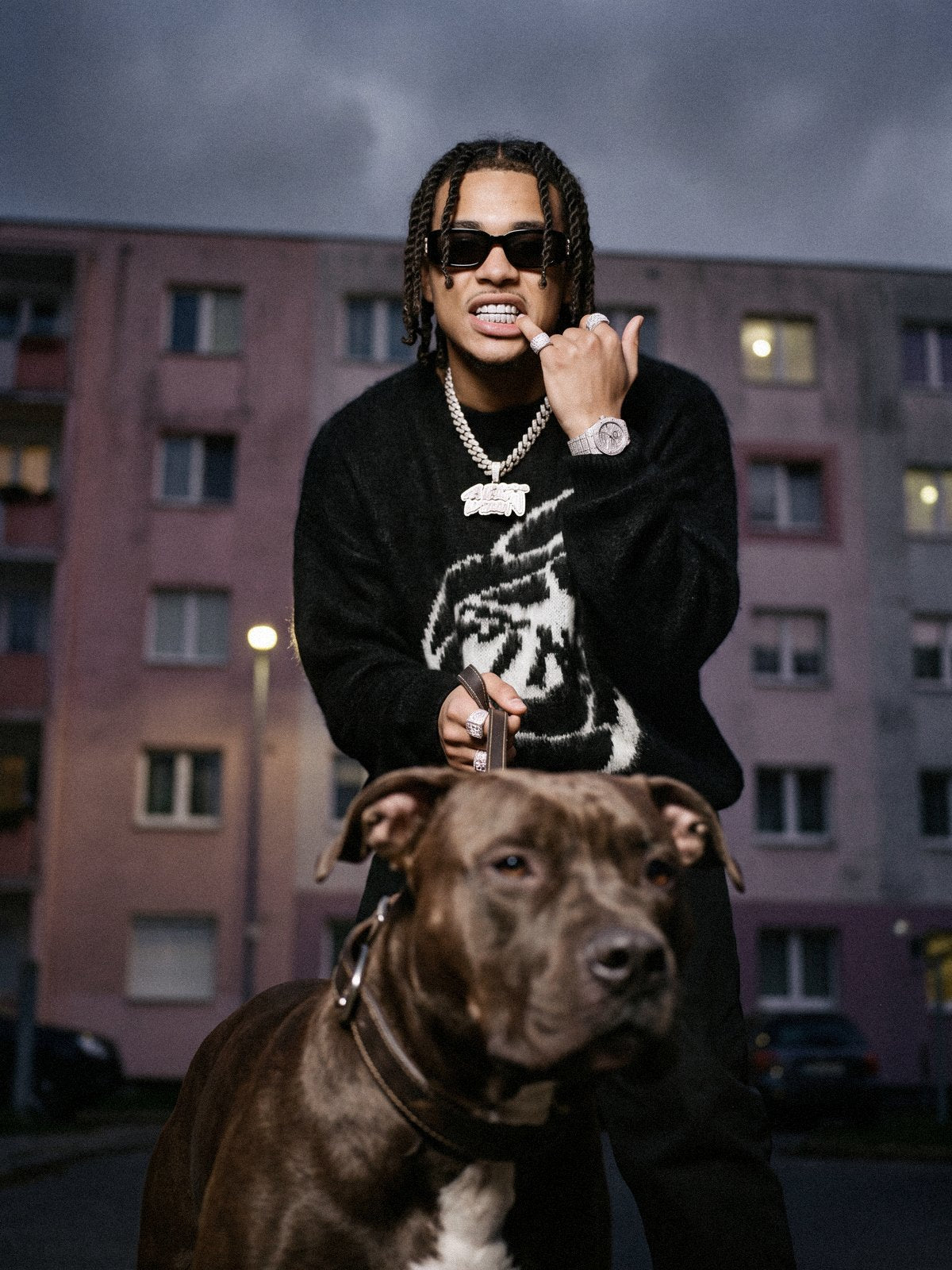 Look rap bling-bling années 2000 avec chaînes, grillz et pitbull – Mode des années 2000 | Y2K Club